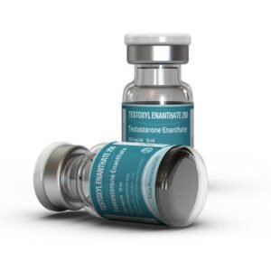 12 weeks bulking cycle