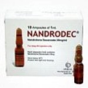 Nandrodec
